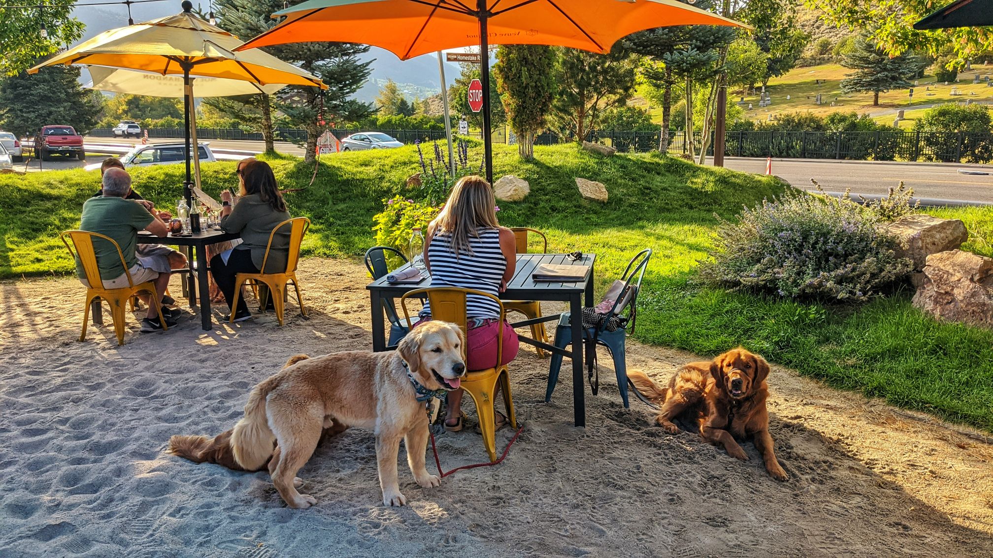 Blind Dog Beach