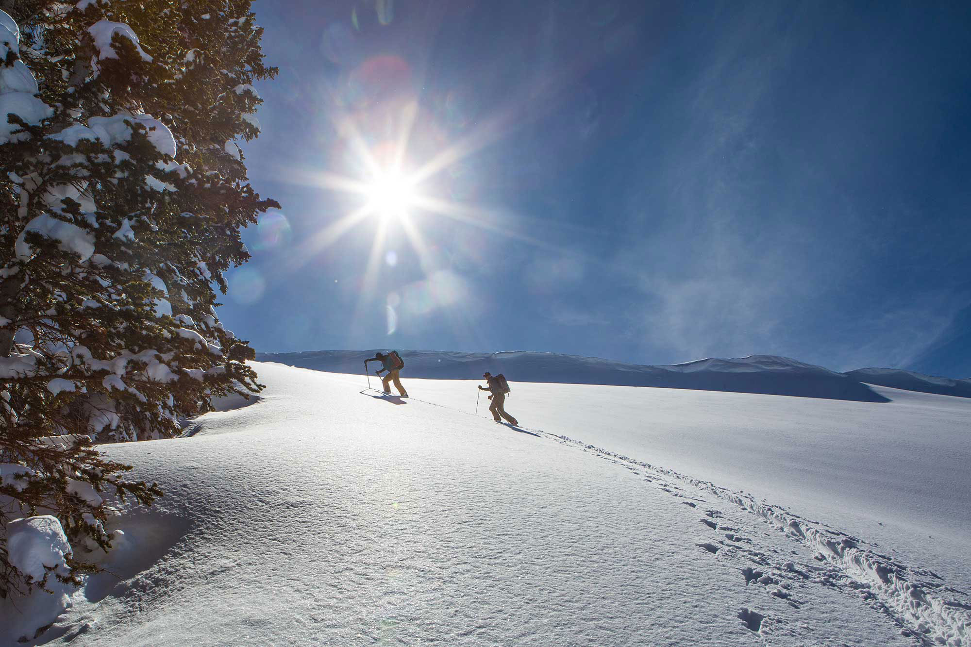 Heli Skiing & Cat Skiing